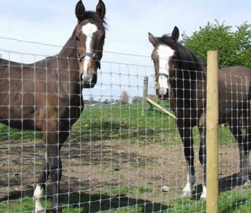 steel livestock gates