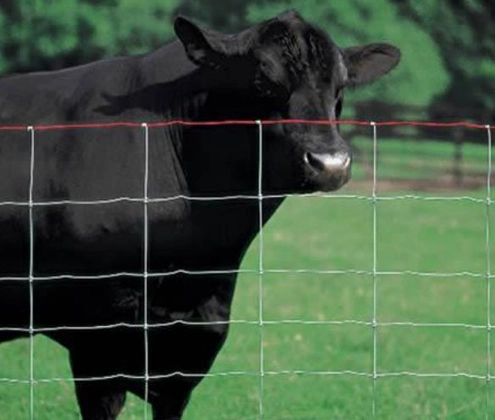 metal gates for livestock