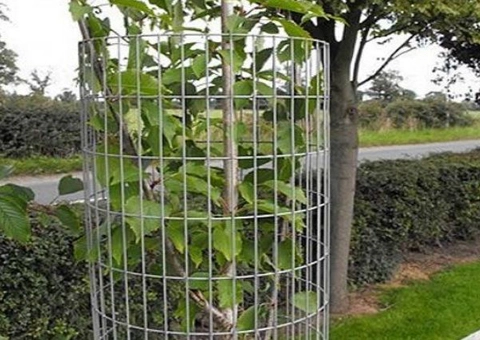 Garden Fence