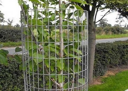 Garden Fence