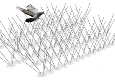 Stainless Steel Base Bird Spikes