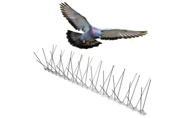 What is Bird Spikes？