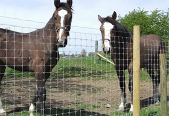 Comparing Metal Livestock Fencing to Traditional Wood Fencing