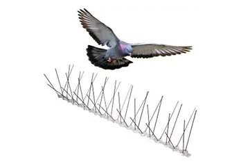 How Plastic Bird Spikes Protect Your Home and Business from Bird Damage