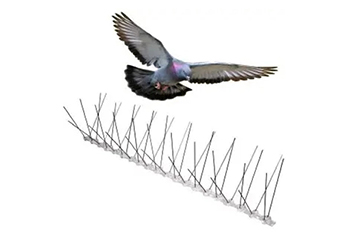 Plastic Bird Spikes